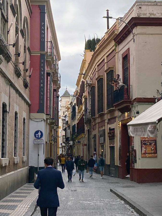 Remolars Sevilla المظهر الخارجي الصورة
